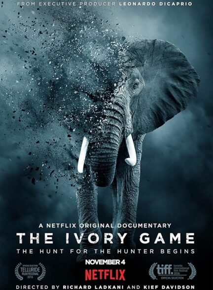 The Ivory Game
